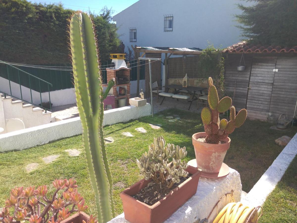 Penzion Casa Dos Cedros Setúbal Exteriér fotografie